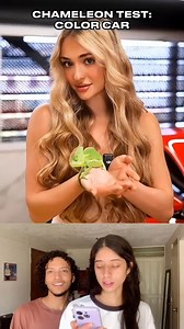 Test del camaleón con colores de autos 😮💀 | Sharith Marcela Zapata Giraldo