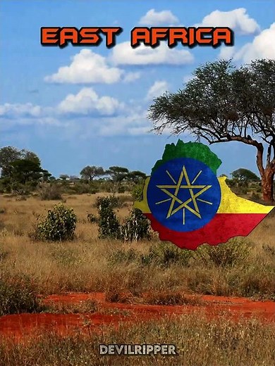 Most powerful African countries in each regions #fyp #map #africa #countryballs #edit #geography