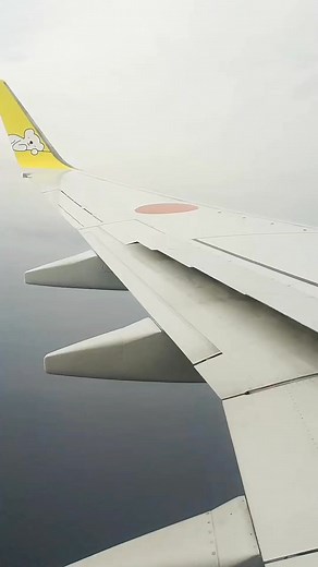 Watching the B737-700 work through its flap settings on descent never gets old. The angles are my own estimates, but the motion tells the story on its own. AIRDO’s approach into Hakodate always looks this smooth. #B737 #B737700 #AircraftFlaps #FlapsInMotion #AviationLovers #AviationDaily #SmoothLanding #RJCH #HKD #HakodateAirport #AIRDO | Aviation Gallery