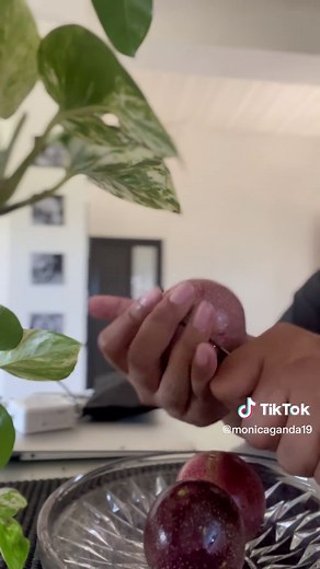 Passionfruit Picking: Fresh Harvest Farming Experience