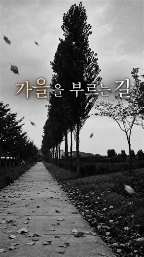 가을을 부르는 길 · The Road Calling Autumn · 秋を呼ぶ道 #가을풍경 #흑백사진 #소노라마 #Sonorama