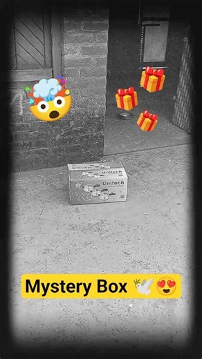 Ye Mystery Box Kaha Se Aaya? 🕊️😍 #shorts #minivlog