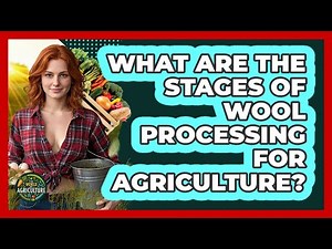 What Are The Stages Of Wool Processing For Agriculture? - The World of Agriculture