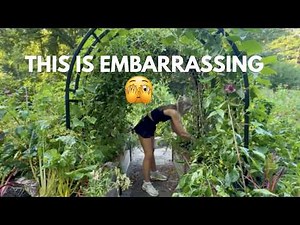 Pest infestation, Trellising Tomatoes, Adding Compost and more: Summer Garden Clean Up Step 1