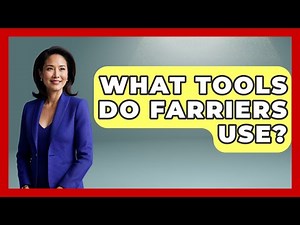 What Tools Do Farriers Use? - The Horses Stable