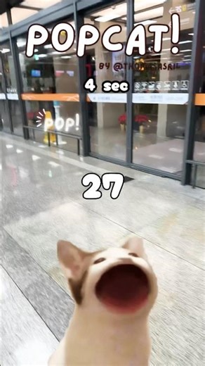 Cat 🐱 | ‪@LaraandIris‬