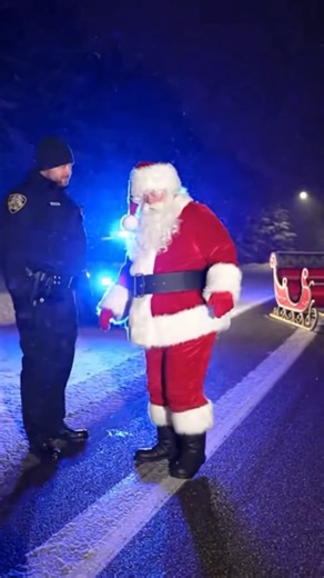 Cops arrest drunk Santa Claus #Sentaclaus #shorts