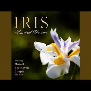 Liszt: Piano Sonata in B minor, S.178: Lento assai (II)