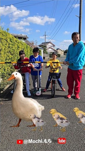 When the railroad crossing bell sounds, stop!