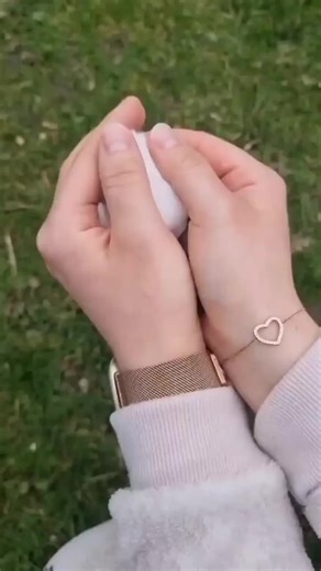 so cuteee😍🐇❤️#bunny #rabbit #animals #bunnies #foryou #bunniesoftiktok (ig c: paradieshoppler)