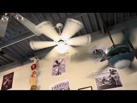 Fanimation museum ceiling fans. July 2025