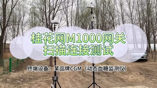 桂花网M1000蓝牙网关与CGM动态血糖监测仪扫描连接测试
