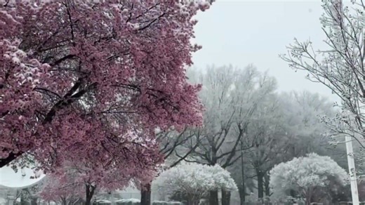 Storm Team4: Clear skies overnight, temps fall to 20s, 30s