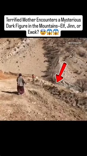 creepy tales daily on Instagram: "In this chilling video, a mother desperately tries to save her kids from a dark, mysterious figure lurking nearby. Terrified, she quickly grabs her child and rushes them to safety. But instead of running away, she bravely returns and starts pelting stones at the eerie figure, determined to protect her family. The air is filled with a creepy, loud noise coming from the unknown presence. But what could it be? 🤔 Could it be an Elf—a creature known to live deep in
