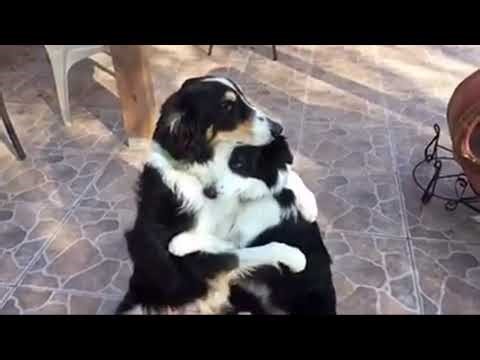 Unidentified Song ("Ne Partez Pas")