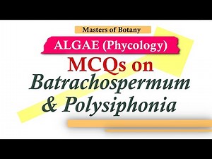MCQs based on Batrachospermum and Polysiphonia (Rhodophyceae) and Type of Triphasic Life cycle