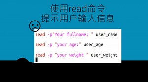 精通bash系列-使用read命令提示用户输入信息