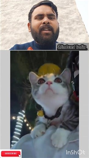 Doraemon Helicopter Pehenkar Billi Full Comedy Mode On 😹#shorts #viral #new #explore #shortsfeed