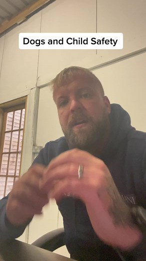 SouthendDogTraining on TikTok