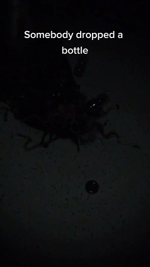 It only takes a couple of cells for the organism to grow and reproduce itself indefinitely. #horrortok #realhorrortok #creepy #zombieapocalypse #zombie #thelastofus #scp #madelaeffect #alternatereality