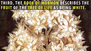 19K views · 383 reactions | As Lehi’s dream reflects the realities of...