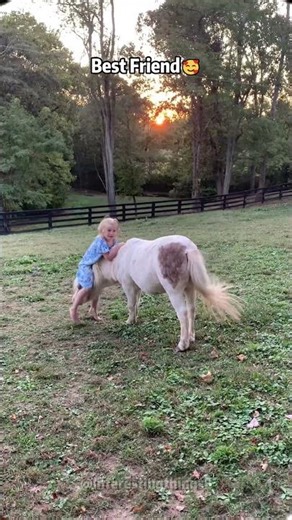 Life With a Mini Pony🥰🐾#funnyanimals #cuteanimals #fyp #foryou #horse
