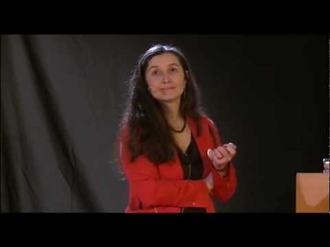 The survivor's guide to cross cultural com...: B.Du Mesnil and C.Naschberger at TEDxMinesNantes