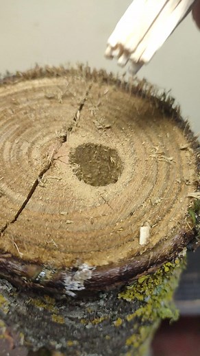 1.4M views · 3K reactions | #Tips #tricks | Gregtoons Gregtoons | Facebook