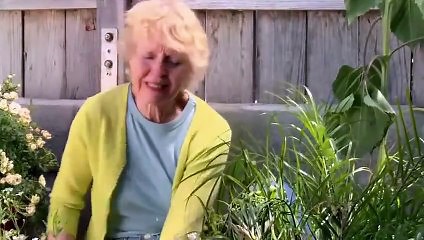 Coyote County Loser | Movie | 2009 | Official trailer