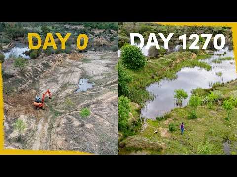 4 years ago we created a lake - now it's full of life
