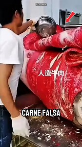 "¿Sabías que ya existe la carne artificial?" Un alimento que no proviene de animales pero sabe igual...... Descubrelo..#curiosidades #viralreelsシ #sabias | RUTA DORADa