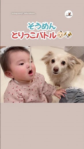 👶🏻 was stronger | PECO