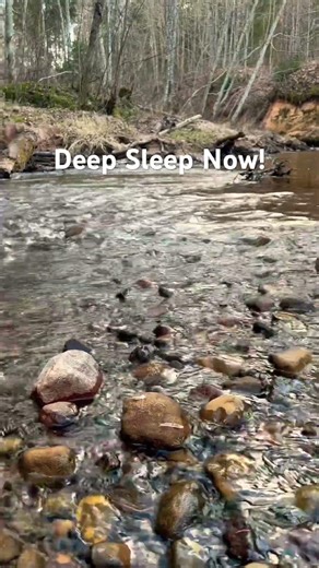 Deep Sleep Now!