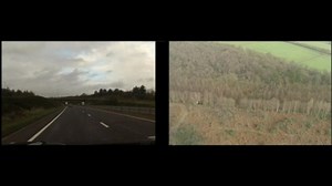 Before and after the Newbury bypass