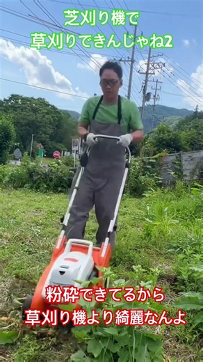 芝刈り機は二枚刃だから粉砕刈り 草刈り機より仕上がりが綺麗だった #STIHL #スチール #シュティール