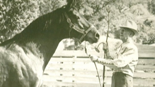 Watch Seabiscuit: America's Legendary Racehorse for Free Online | Pluto TV