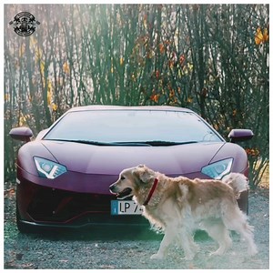 81K views · 1.1K shares | Lamborghini.! #Foryou | Bike Rider | Facebook