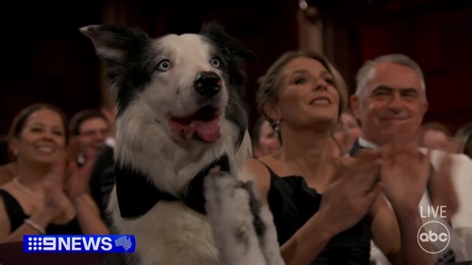 Oppenheimer has dominated the 96th Academy Awards, scoring seven Oscars and winning in the categories of Best Picture, Best Actor and Best Director. #9News FULL WINNERS LIST: https://nine.social/AWT | 9 News