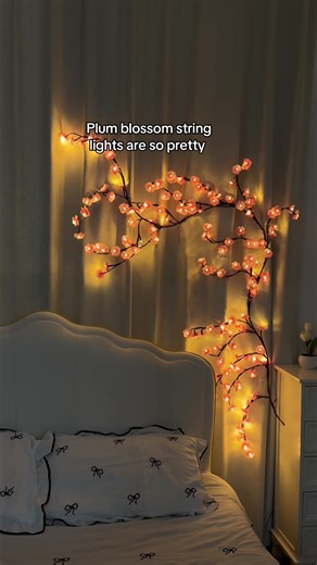 Illuminate Your Space with Plum Blossom String Lights