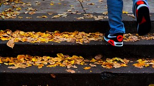 How to get your leaves picked up in Eugene, Springfield, Lane County