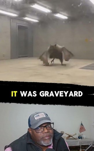 WHAT IN THE GRAVE YARD SHIFT