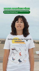 3K reactions · 76 shares | Masdunas a pour objectif de restaurer et de préserver les valeurs écologiques et touristiques du champ de dunes de Maspalomas . #ÎlesCanaries #DéveloppementDurable | Îles Canaries | Facebook