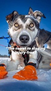 3.7K views · 242 reactions | “Choline is a key nutrient for brain...