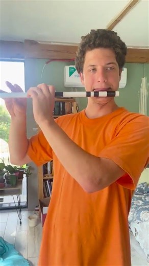 Playing my PVC irish flute 5-stars review #flute #lowwhistle #irishflute #fluteforbeginners