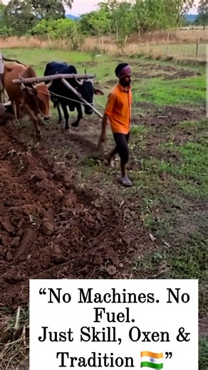 3.2K views | A timeless farming method still used across rural India...