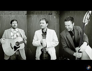 The Rubber Knife Gang | Lyrics, Song Meanings & Music Videos