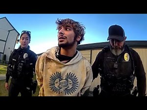 How a Predator Finally Met Karma