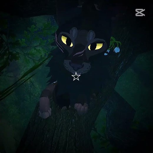 samemu nieda się nagrywać...]= #warriorcats #cat #edit
