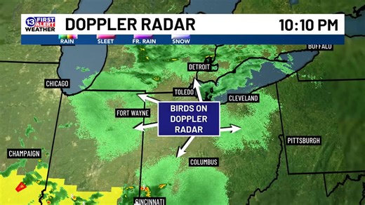 11K views · 98 reactions | Tracking migrating birds on 13 FIRST ALERT Doppler Radar | 13abc | Facebook