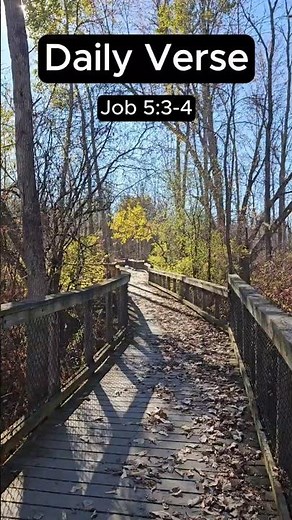 1 Verse, 1 Minute: Job 5:3-4